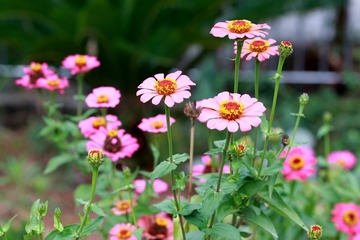 1DA1CA1F-3036-415F-AB3B-007D9201A379/L0/001