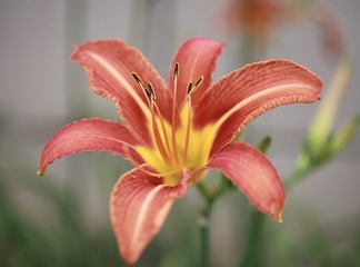 41F64006-02EE-4189-A956-2EF65AAB3F67/L0/001