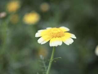 21FA4F62-51F1-45A1-96FF-9FD1D9954BF3/L0/001