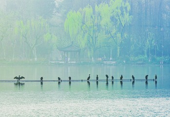 7D250C39-5653-4365-B23C-4D77EC3D8E1E/L0/001