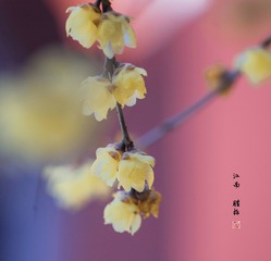 0953C340-F692-4FC7-96DA-D22FAA9EEC12/L0/001