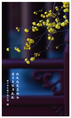 163F2848-251F-49C1-8A45-839CD8CDCBFF/L0/001