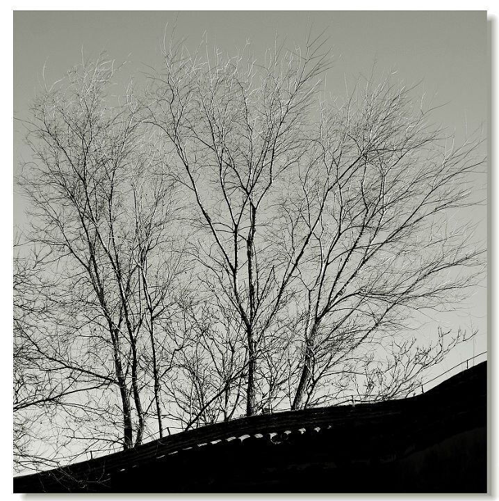DSC_0158--2<br />
