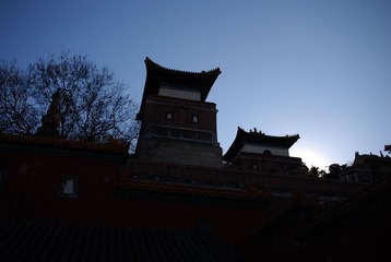 DSC_0064---
