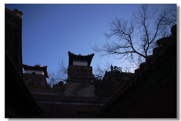 DSC_0080---