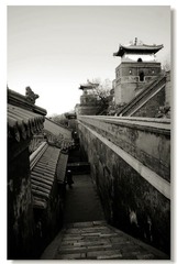DSC_0098---2