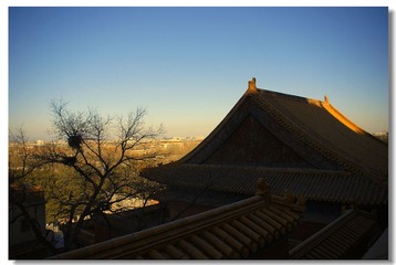 DSC_0105---