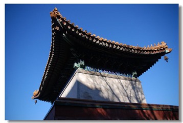 DSC_0138---