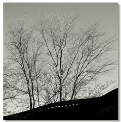 DSC_0158--2