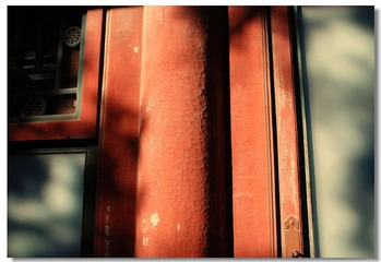 DSC_0234---