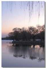 DSC_0667---