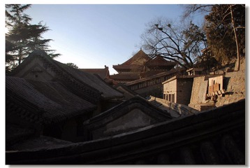 DSC_0335---