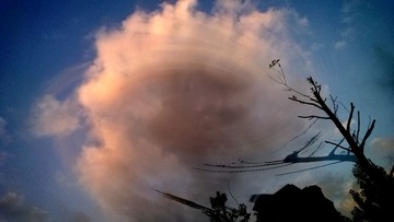 WP_20160524_029