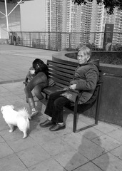 WP_20150212_034