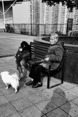 WP_20150212_034a