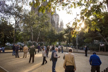 DSC_6550_