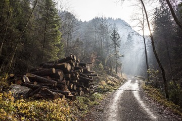 DSC_6597_