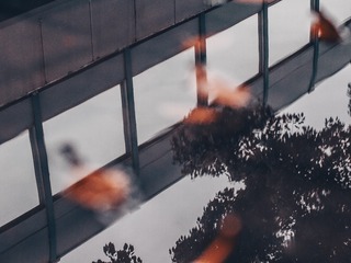 2208261