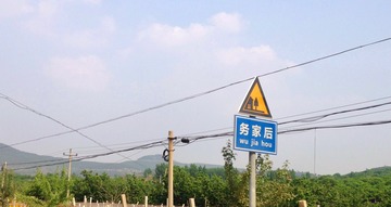 558394