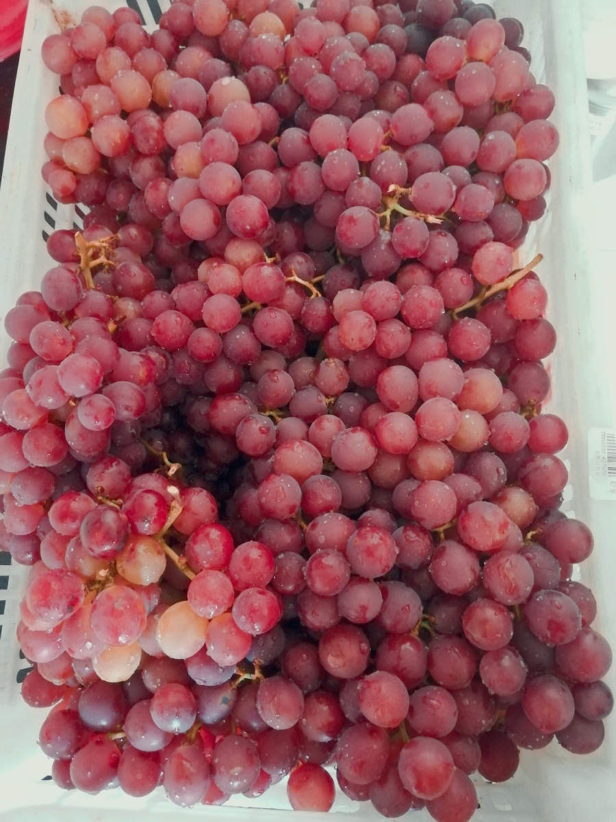 退一步海阔天空507