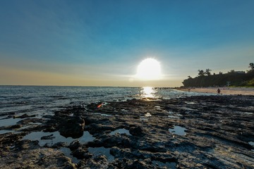 DSC_6720-1