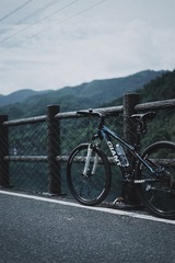 Optional(