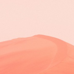 IMG_7794-3