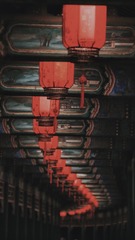 2520038