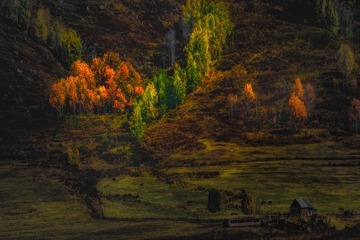DSC_9364-编辑