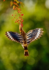 _DSC6109-编辑-编辑