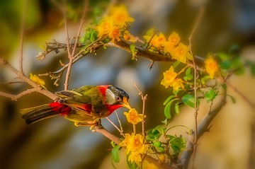 _DSC6652-编辑-编辑