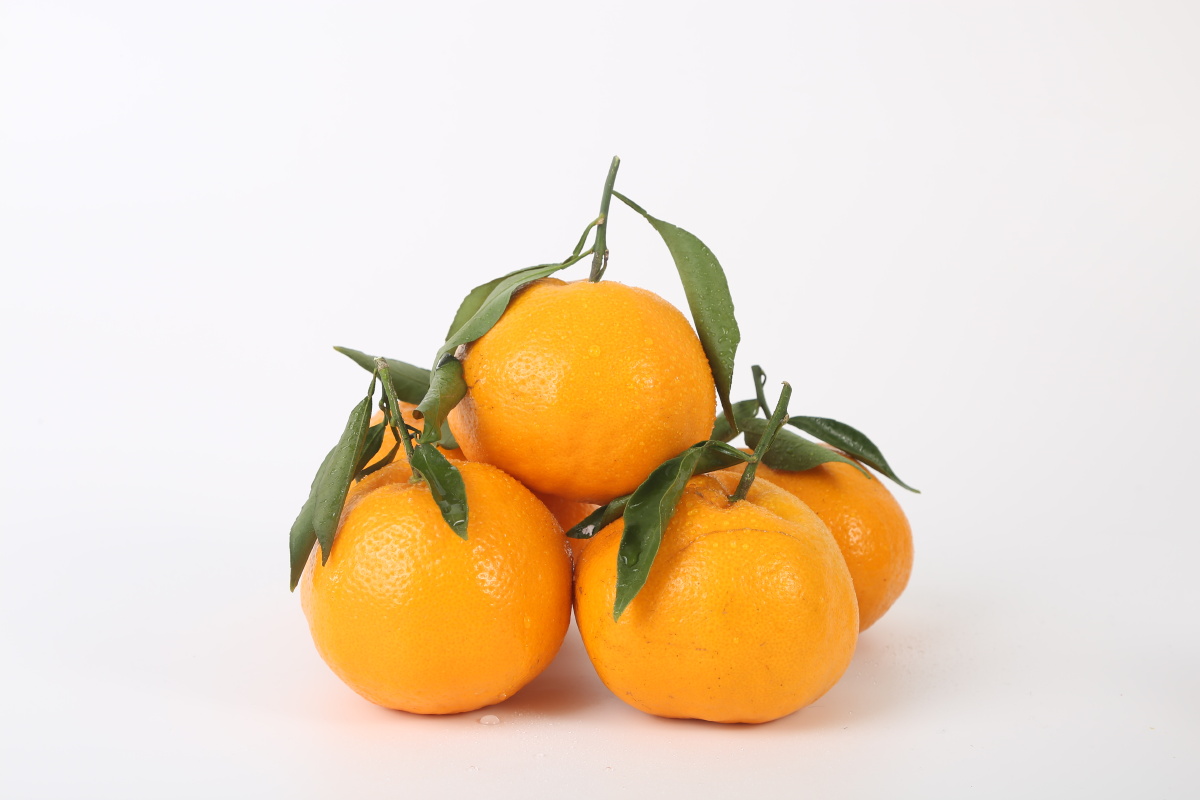 水果爱媛38号耙耙柑 - 凯撒rain - 图虫