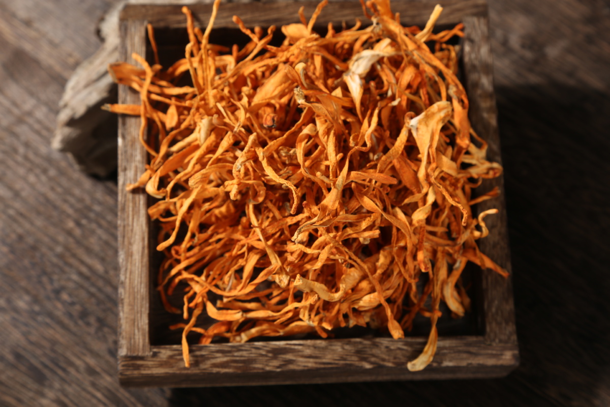 鹿茸菇虫草花原图