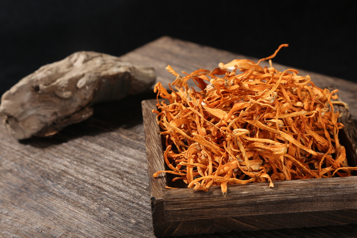 鹿茸菇虫草花原图