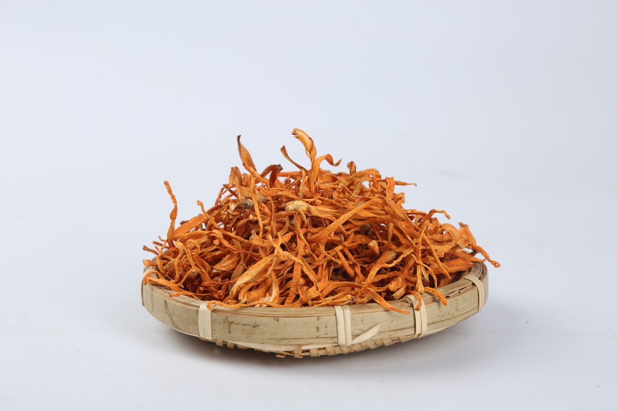 鹿茸菇虫草花原图