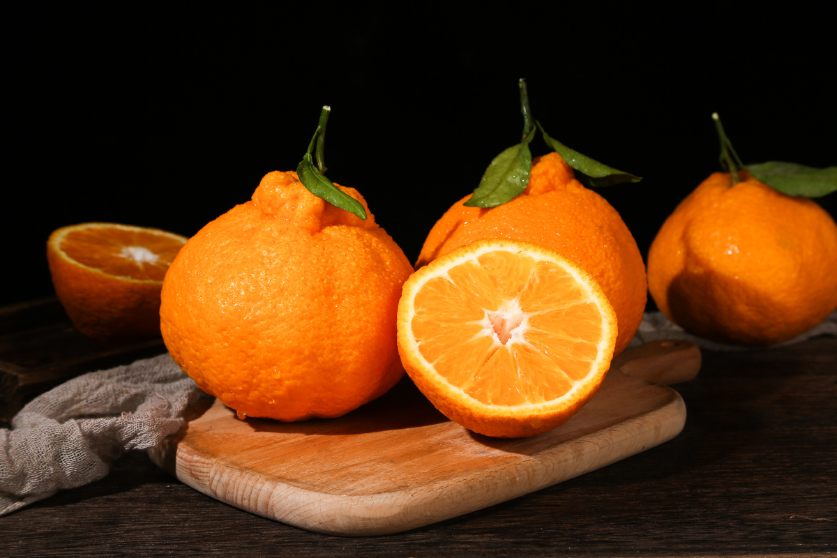 耙耙柑爱媛水果