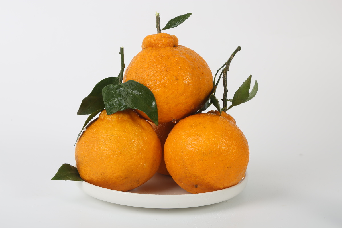 水果爱媛38号耙耙柑 - 凯撒rain - 图虫