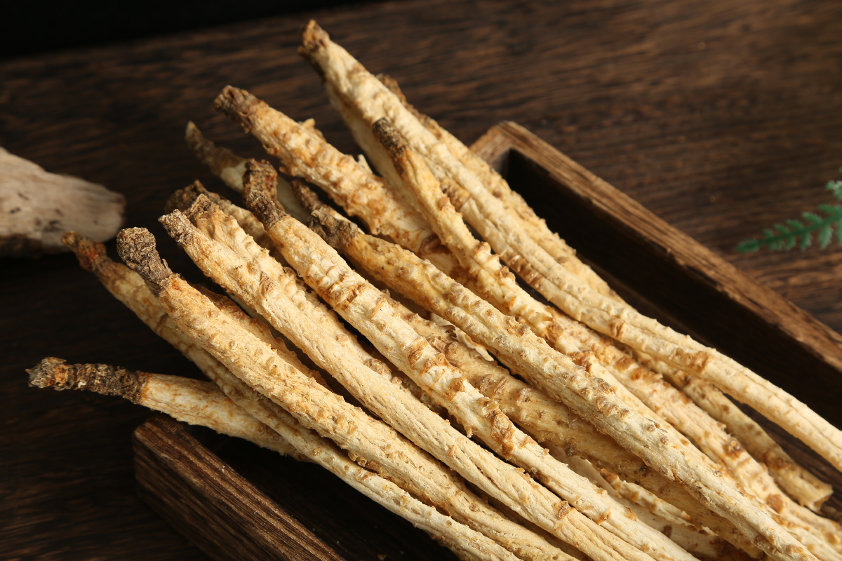 人参中药材系列