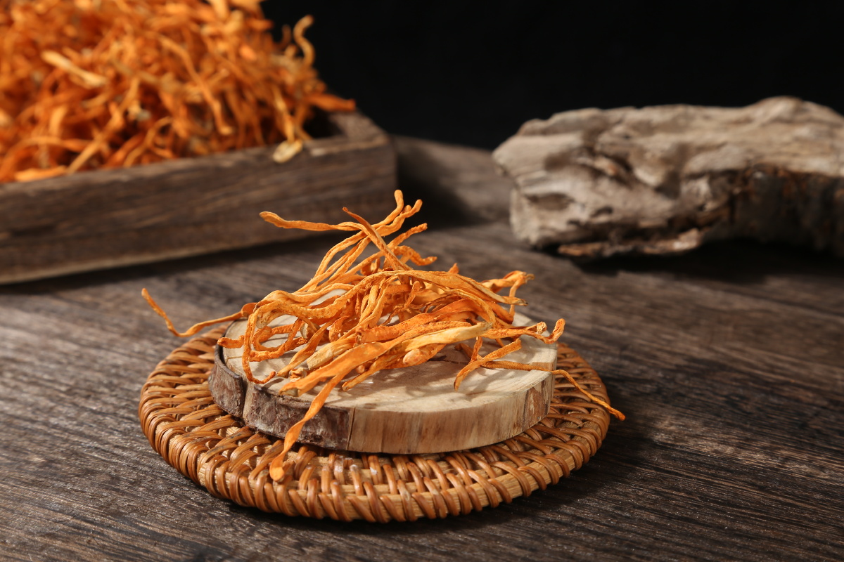 鹿茸菇虫草花原图