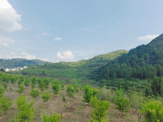 706642