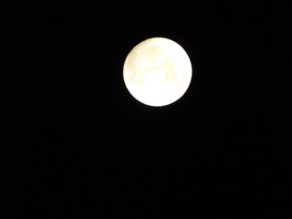 460D3795-E36A-435B-8BE4-7B4A2433E840/L0/001