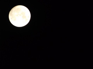 52866825-5E2B-462F-B7EC-95CC5ED783F2/L0/001