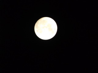 63069A75-9BD4-4F3C-9C20-44D6B46B7C4B/L0/001