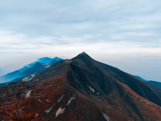 3980686