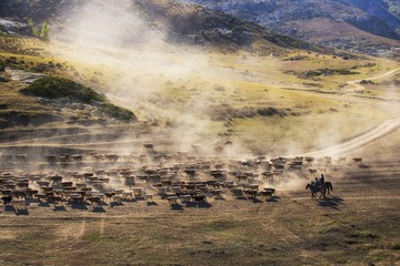 IMG_4187+