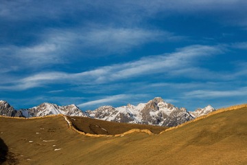 IMG_9416+