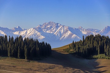 IMG_2717+