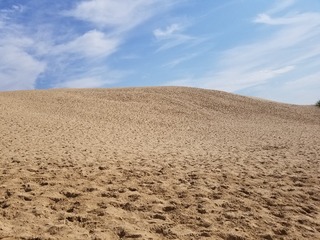 1000102041