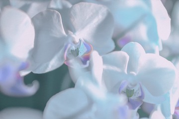1AE86A6D-6742-4ABC-8664-BE8040CC5F14/L0/001