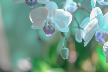 E3EC7D82-07F1-4F59-BDFE-4D3B89682509/L0/001